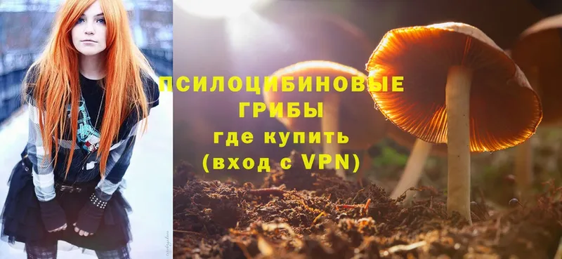 Галлюциногенные грибы GOLDEN TEACHER  Павловский Посад 