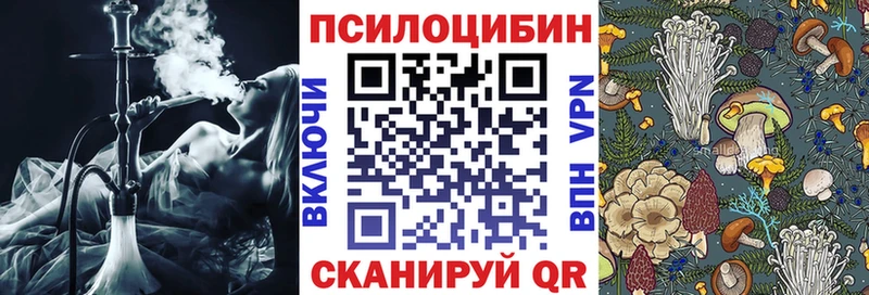 гидра как зайти  Павловский Посад  Галлюциногенные грибы Magic Shrooms 