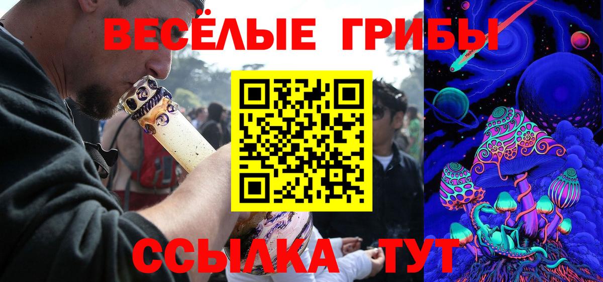 Псилоцибиновые грибы Cubensis Павловский Посад
