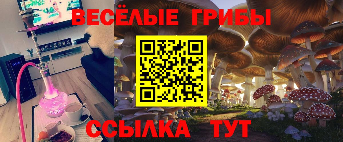 Павловский Посад  Псилоцибиновые грибы Magic Shrooms  Псилоцибиновые грибы Psilocybine cubensis  Вход с VPN 